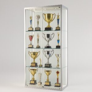 LuxGuard™ Mirror Glass Display Cabinet