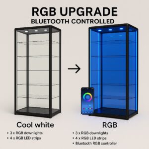 RGB Lighting Upgrade (Bluetooth Controlled)